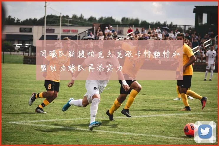 同曦队新援帕克杰克逊卡特赖特加盟助力球队再添实力
